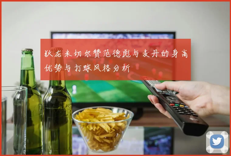 狄龙米切尔赞范德彪与麦丹的身高优势与打球风格分析